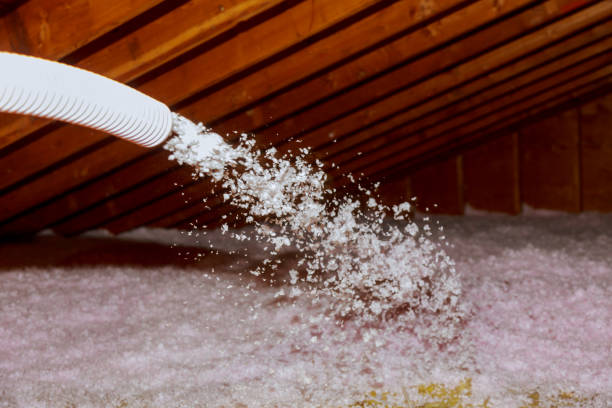 Best Insulation Repair Services  in Lakeside, CA