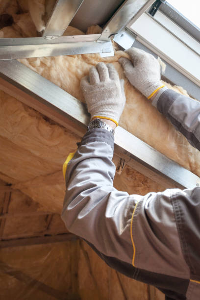 Best Attic Insulation Installation  in Lakeside, CA