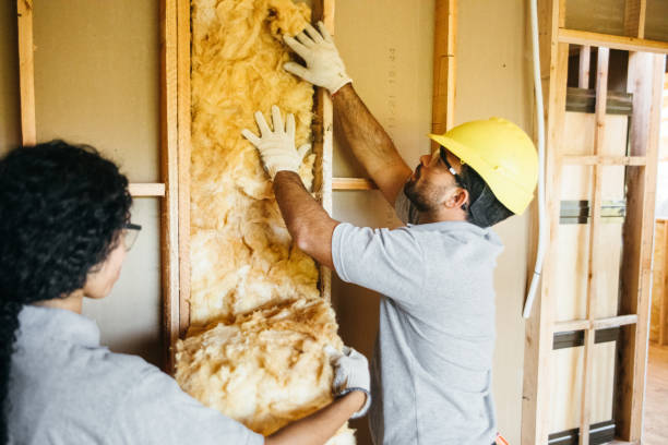 Best Insulation Replacement Services  in Lakeside, CA